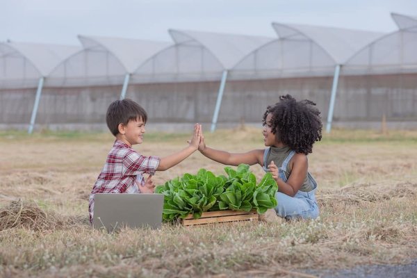 Quelle est la relation entre les VTC et les taxis traditionnels : concurrence ou complément ?