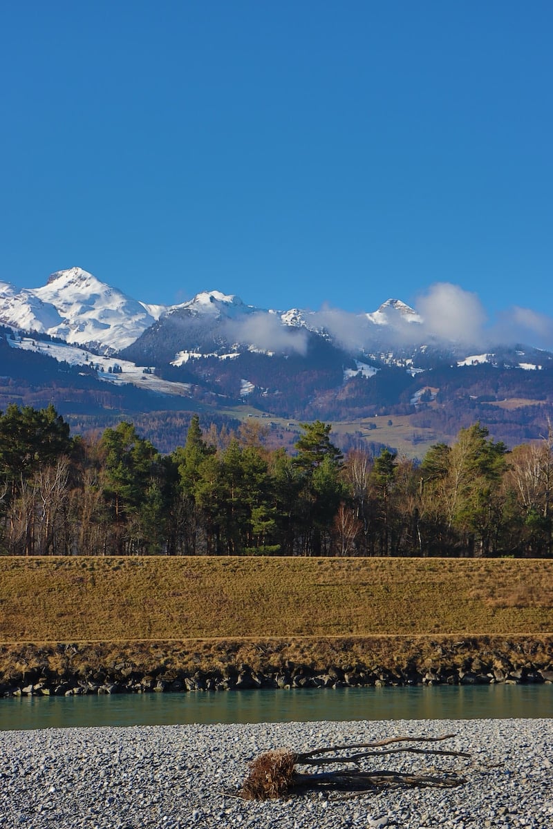 green trees and snow covered mountain during daytime